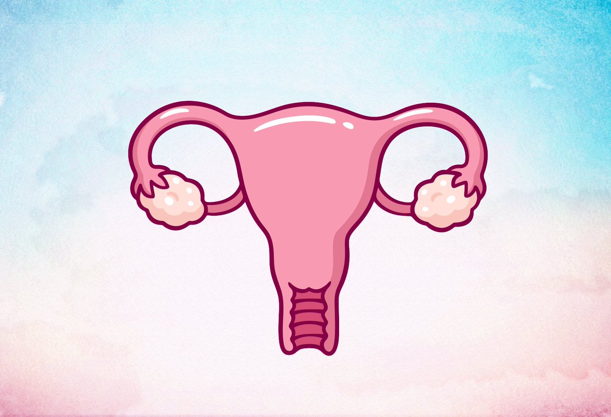 Bending of the uterus: myths and problems
